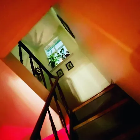 Reykjavik Guesthouse Rum i privatbostad